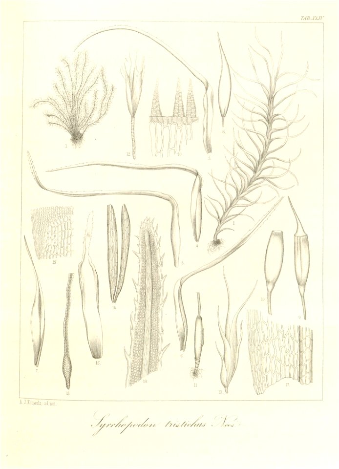 n120_w1150