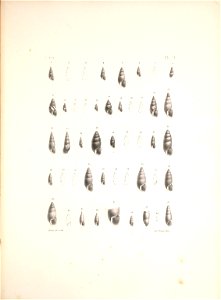 n402_w1150