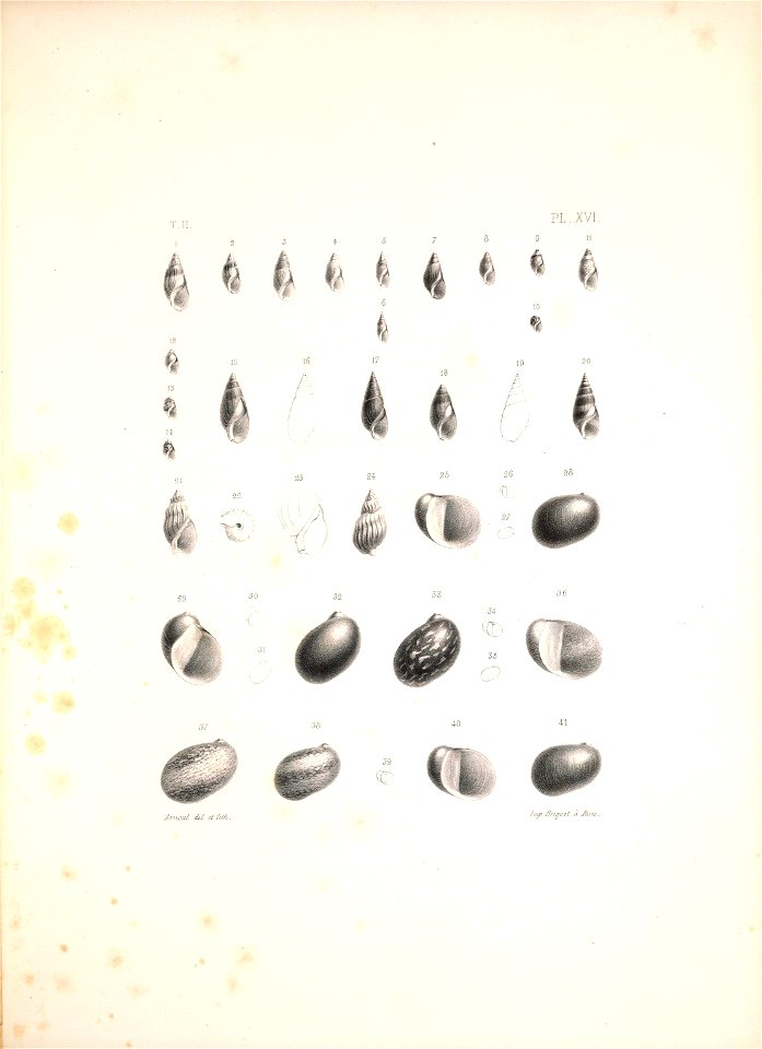 n458_w1150
