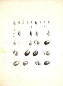 n458_w1150