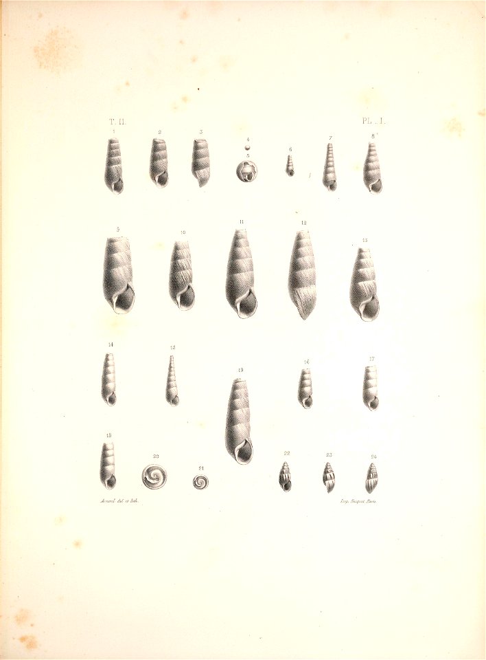 n398_w1150