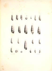 n398_w1150