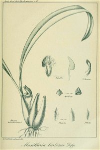 n362_w1150