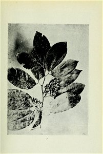 n78_w1150