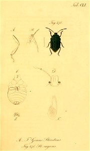 n16_w1150