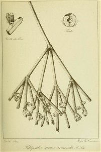 n182_w1150