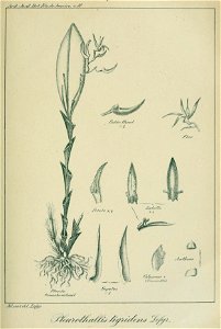 n358_w1150