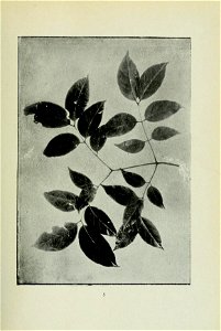 n74_w1150