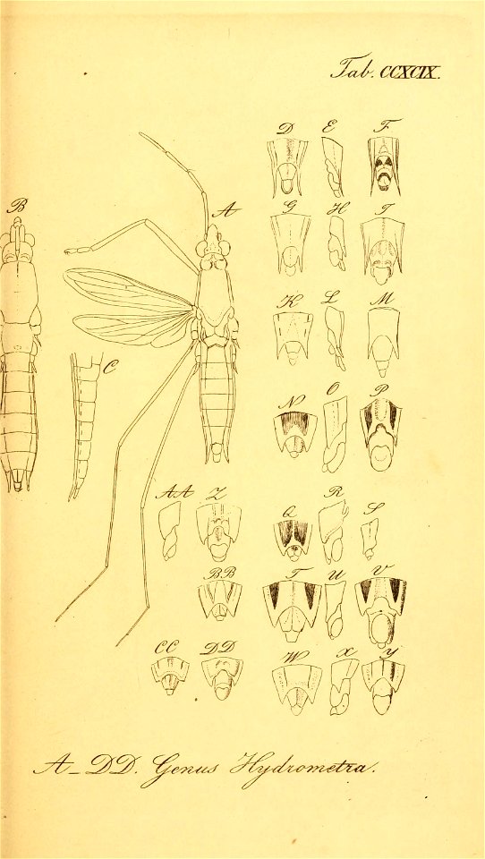 n312_w1150