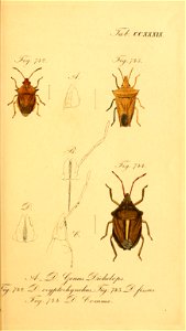 n192_w1150
