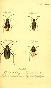 n102_w1150