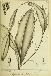n178_w1150