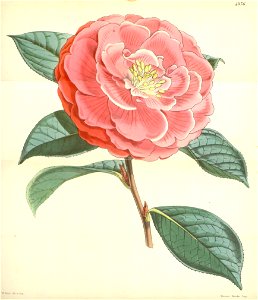 n59_w1150