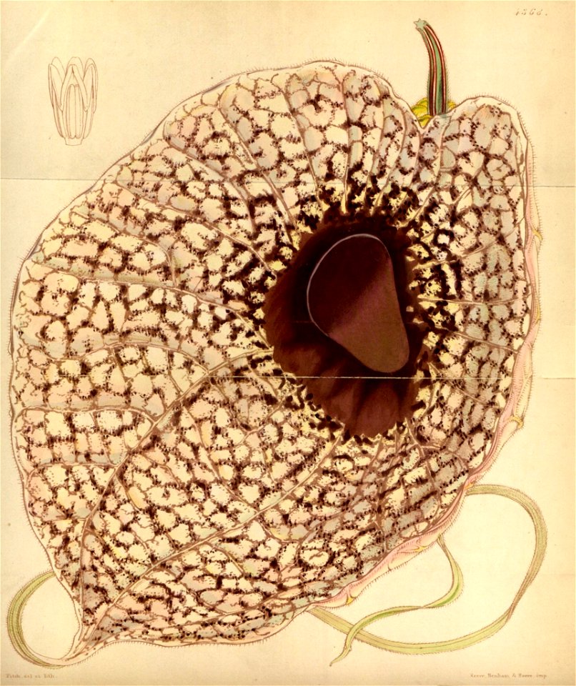 n89_w1150