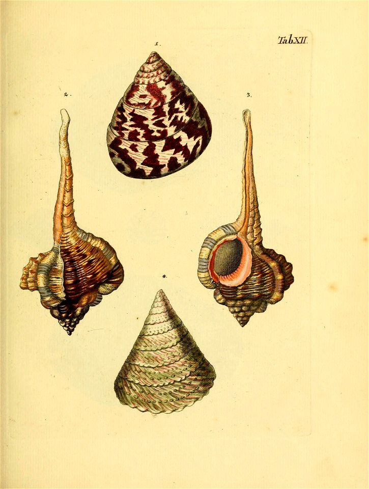 n58_w1150