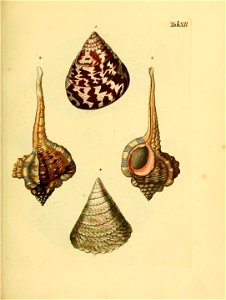 n58_w1150