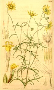 n102_w1150