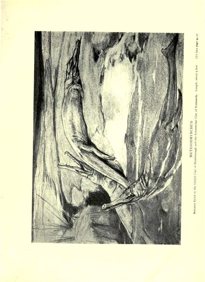 n154_w1150
