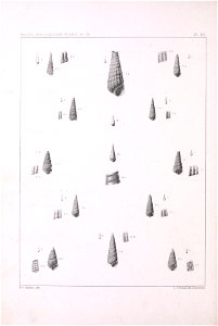 n499_w1150