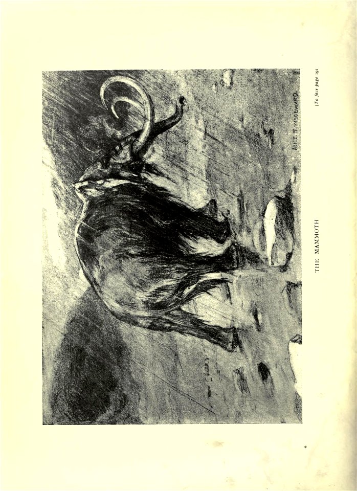 n309_w1150