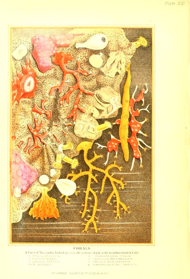 n299_w1150