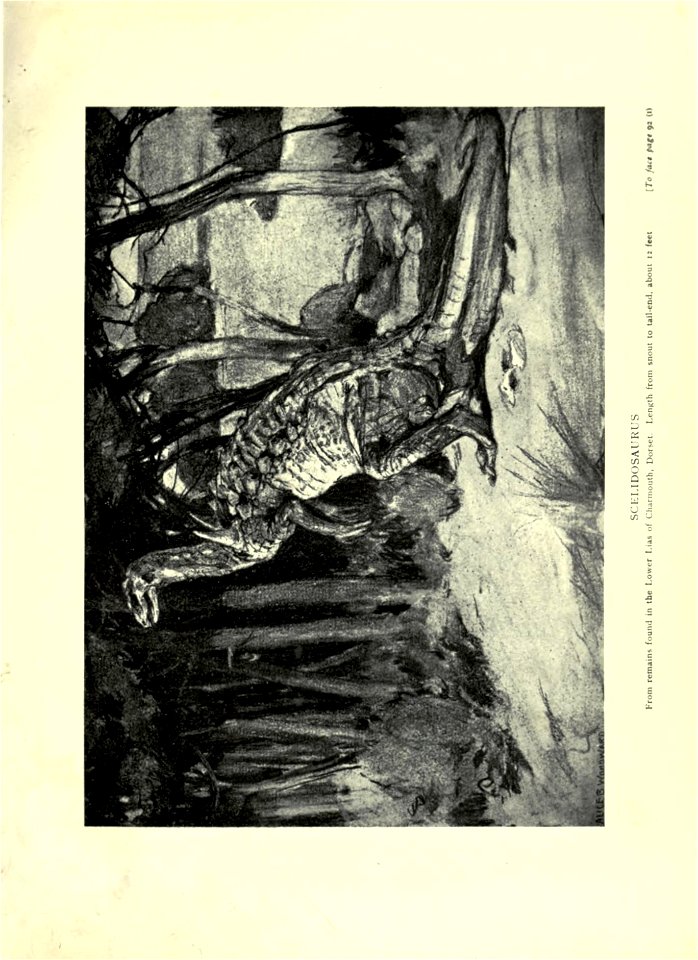 n148_w1150