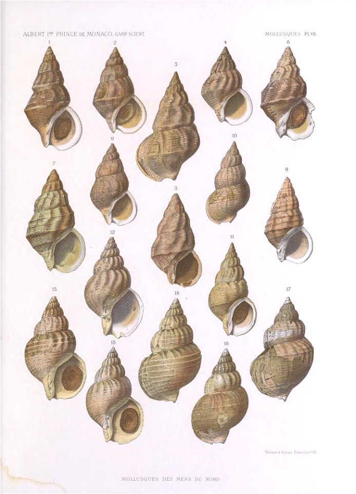 n672_w1150