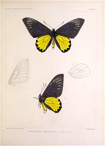 n258_w1150