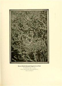 n418_w1150