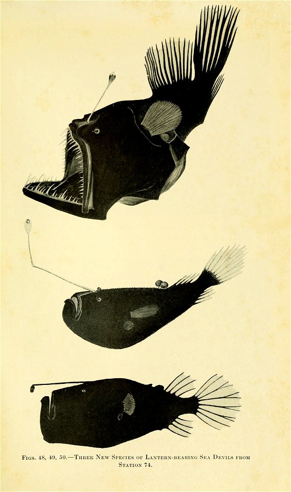 n428_w1150