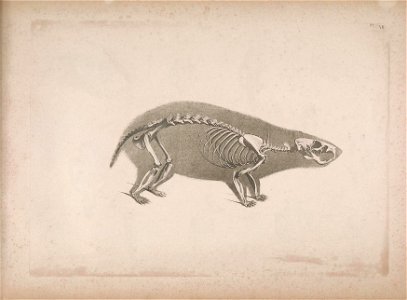 n178_w1150