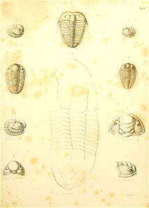 n174_w1150