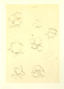 n132_w1150