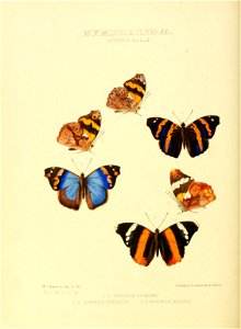 n195_w1150
