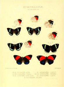 n259_w1150