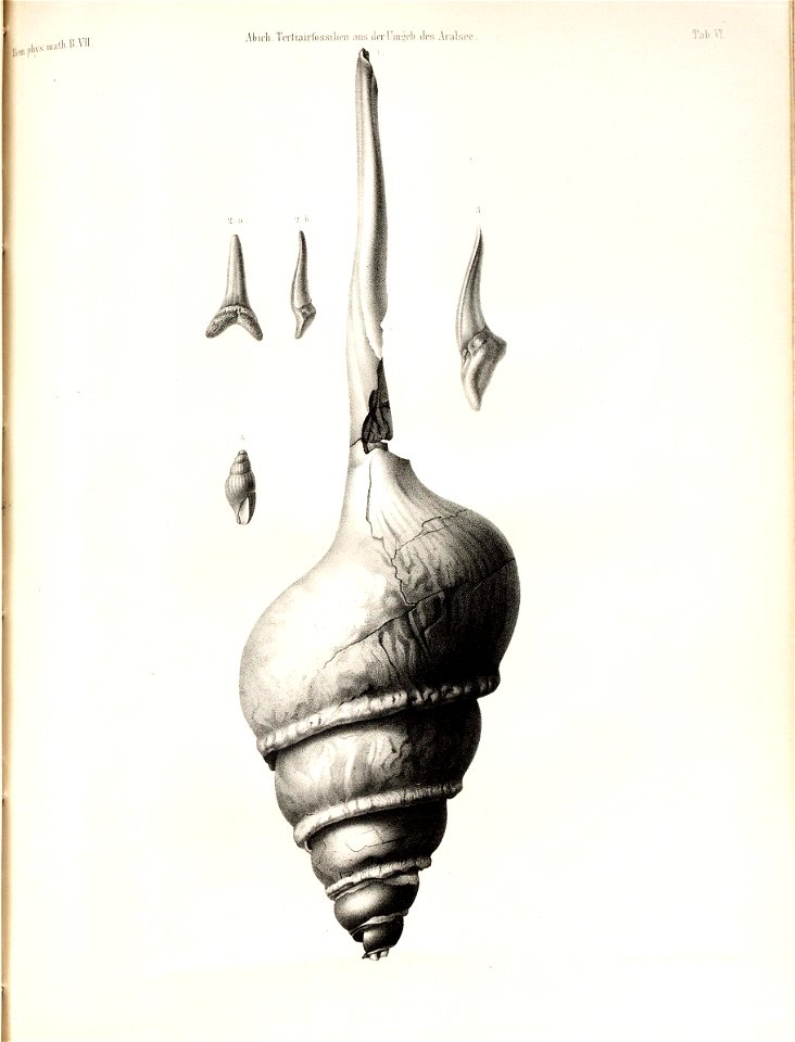 n56_w1150
