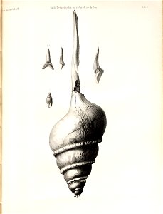 n56_w1150