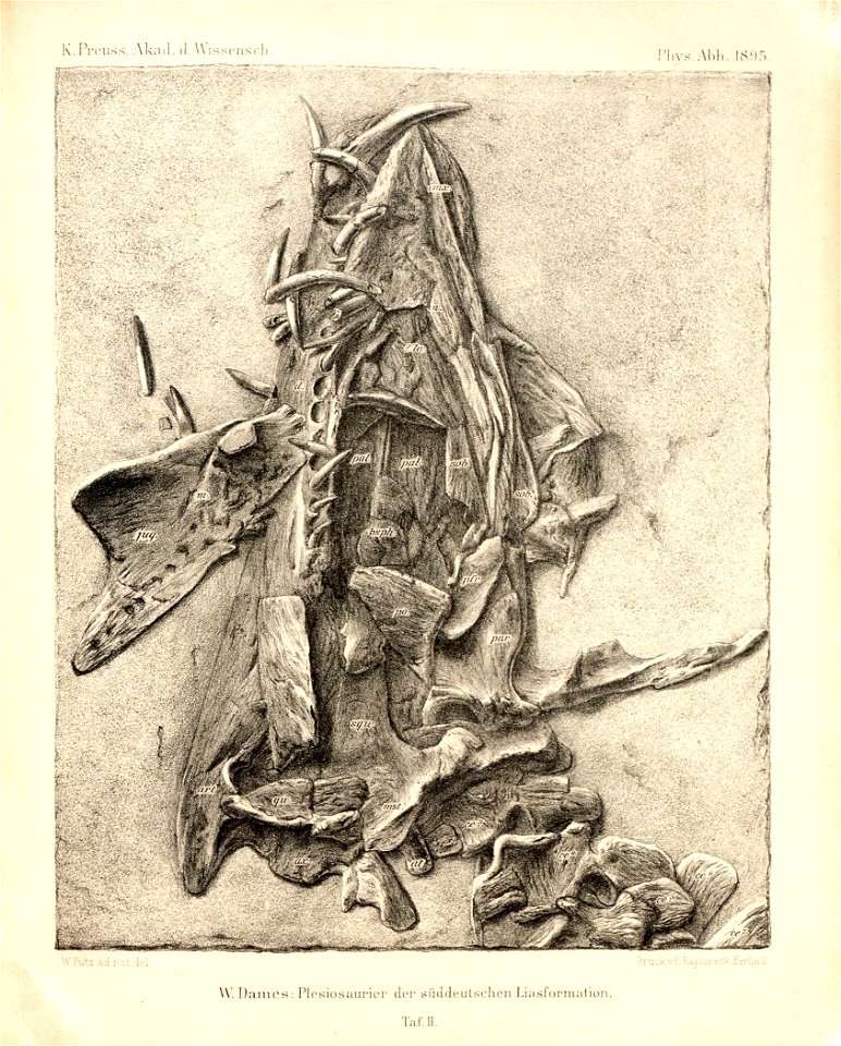 n88_w1150