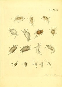 n534_w1150