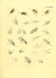 n504_w1150