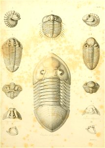 n172_w1150