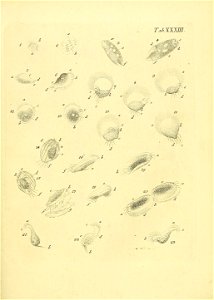 n502_w1150