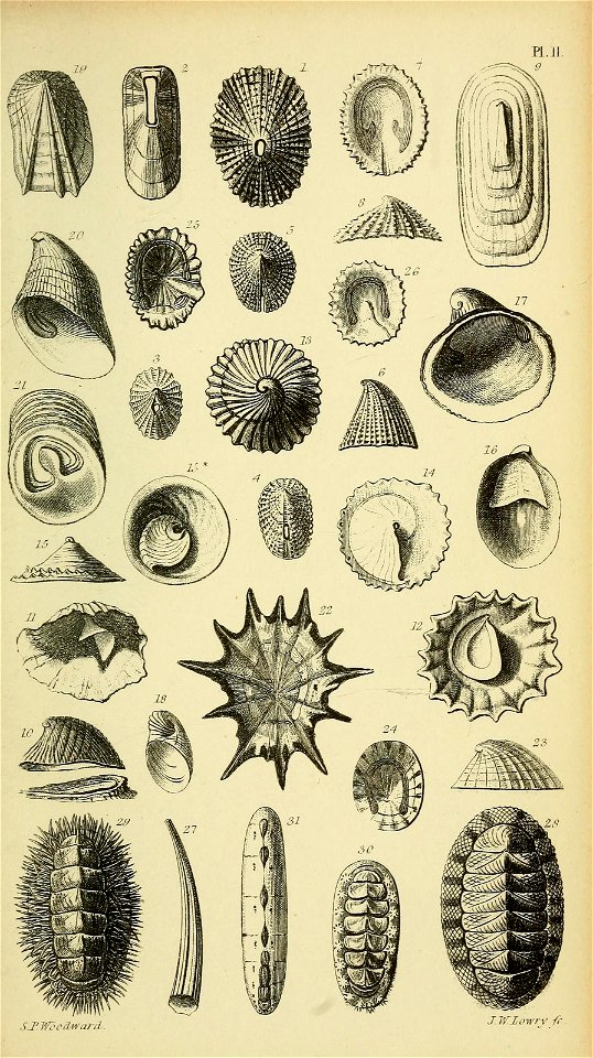 n572_w1150