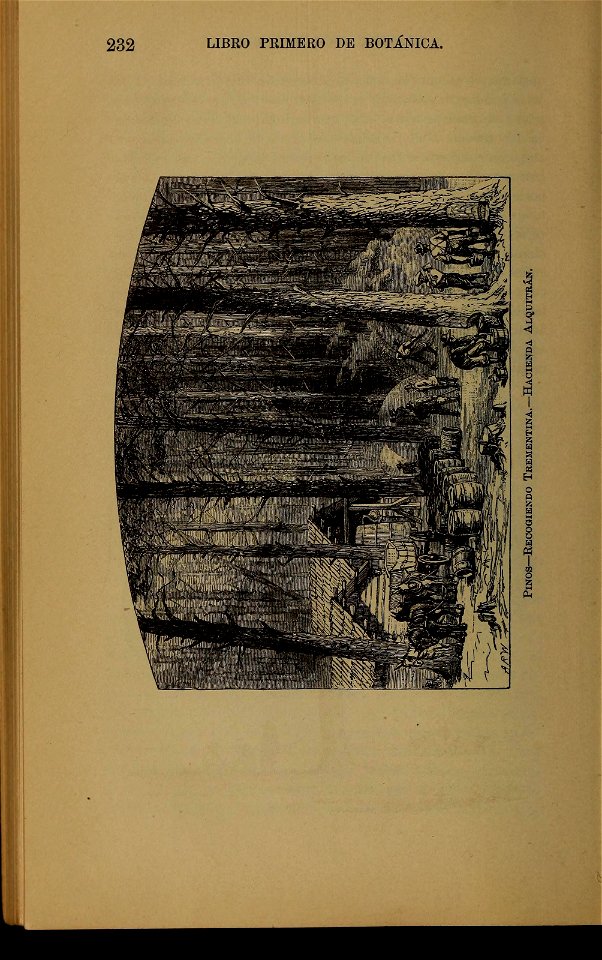 n237_w1150