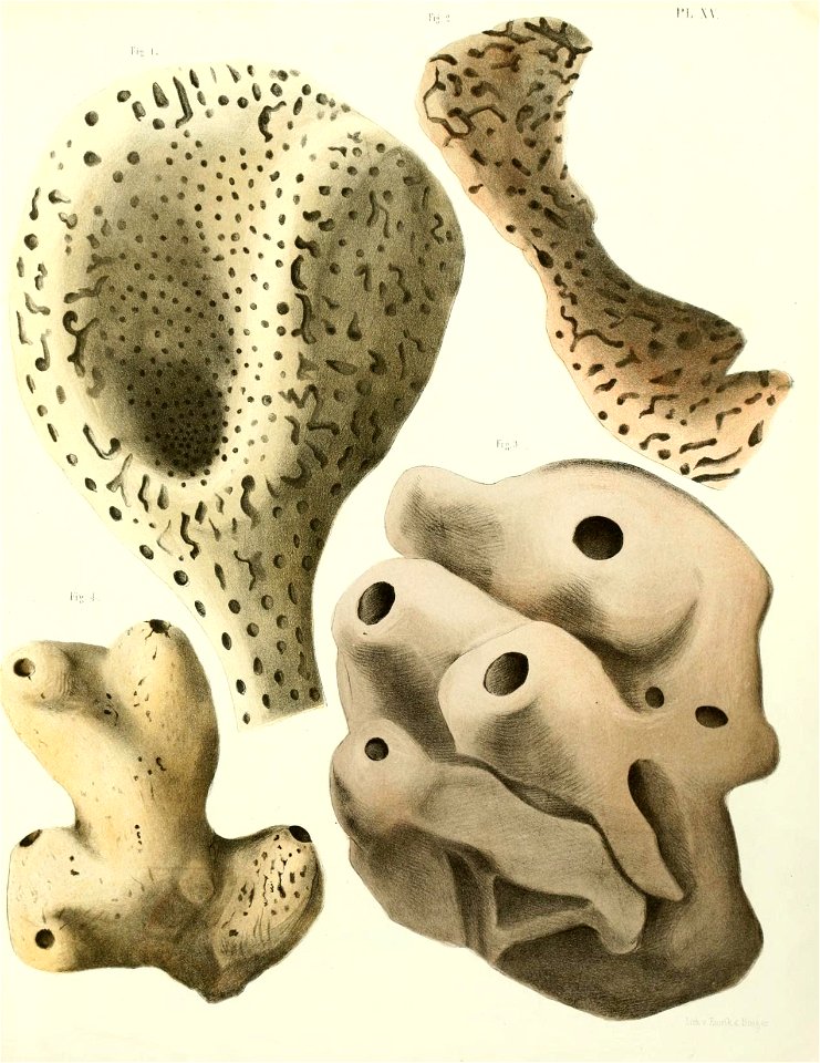 n158_w1150