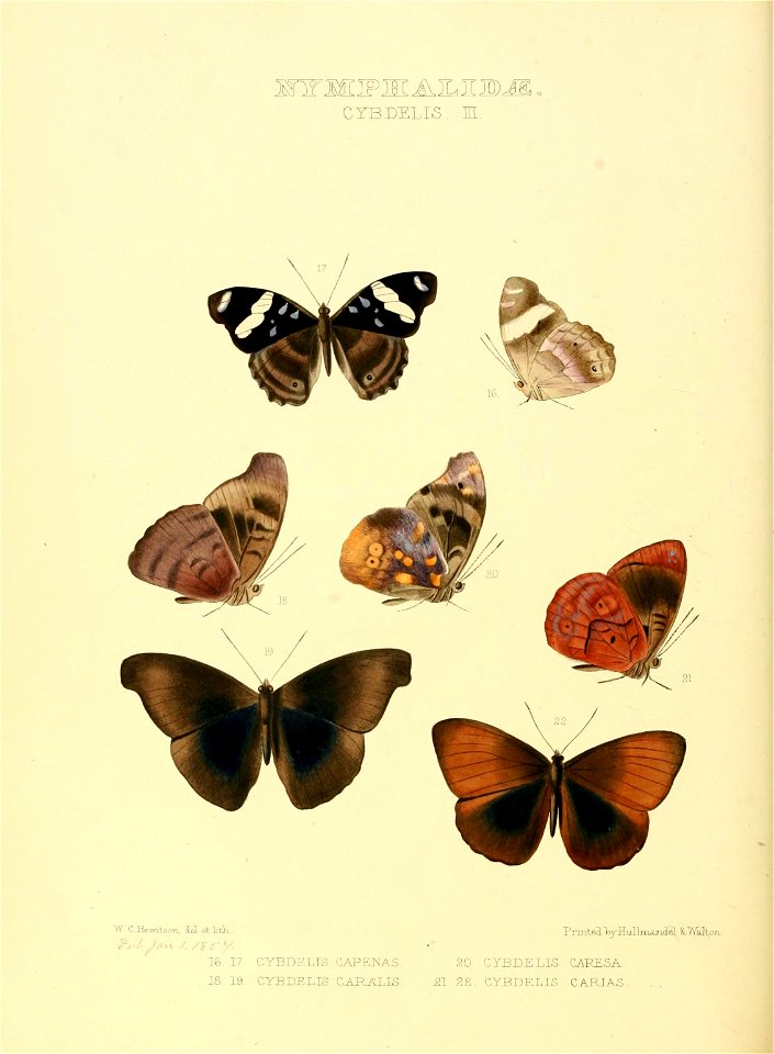 n187_w1150