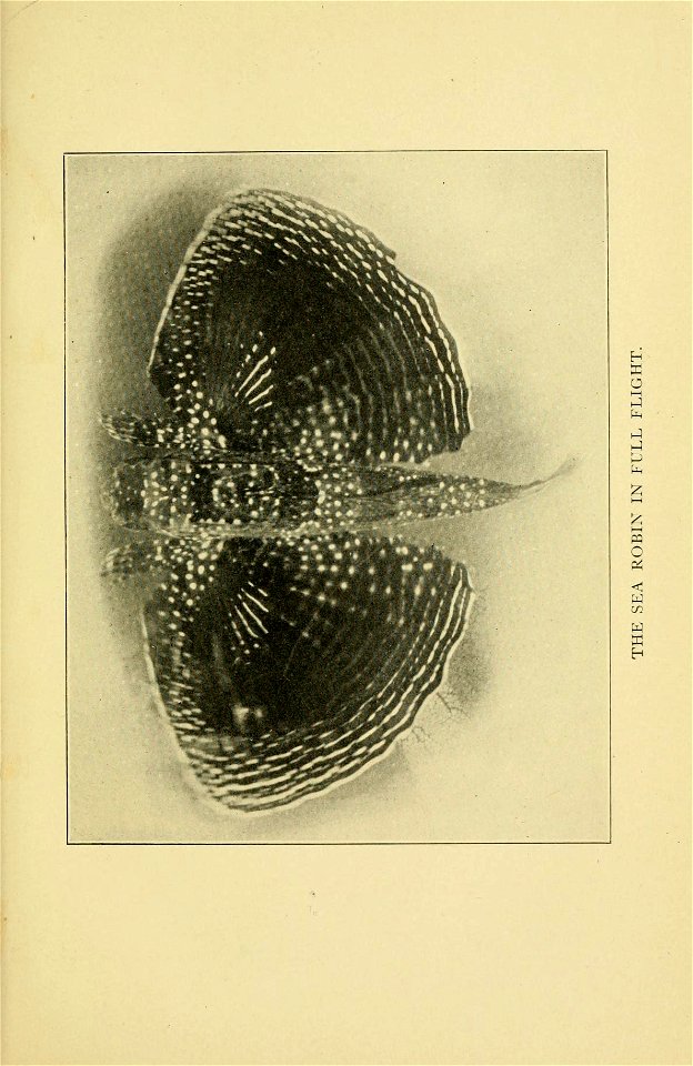 n98_w1150