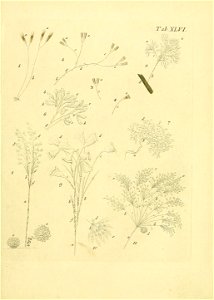 n528_w1150