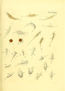 n498_w1150
