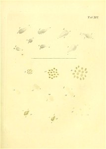 n468_w1150